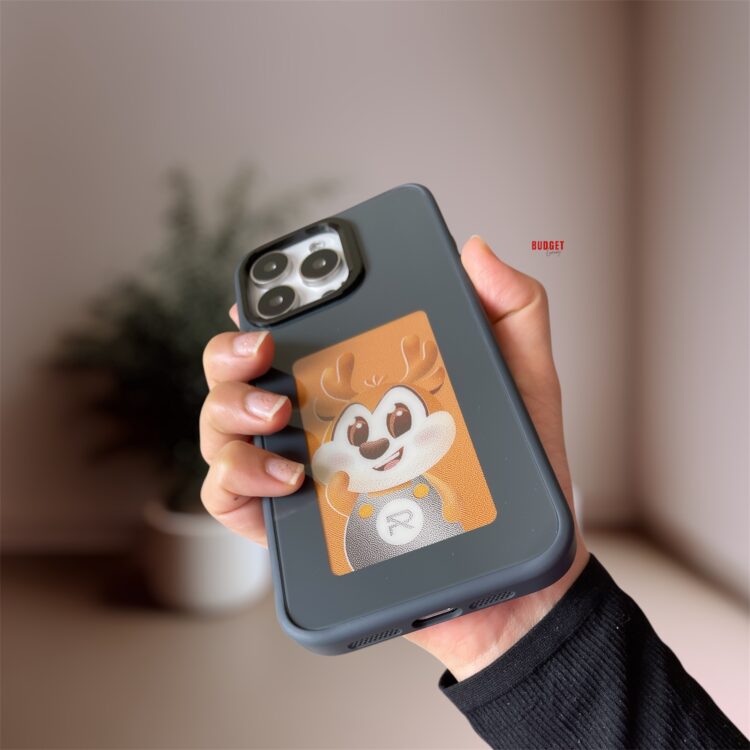 E Ink Case